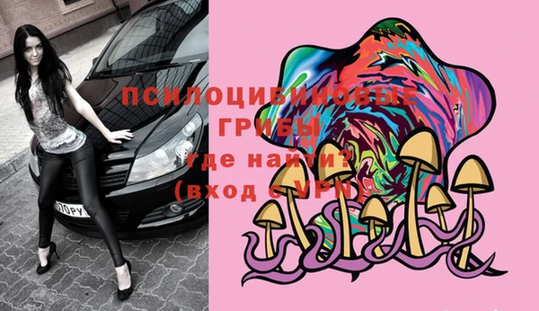 крисы Ладушкин