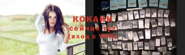 2c-b Лагань