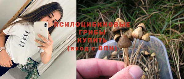 ПСИЛОЦИБИНОВЫЕ ГРИБЫ Лабытнанги