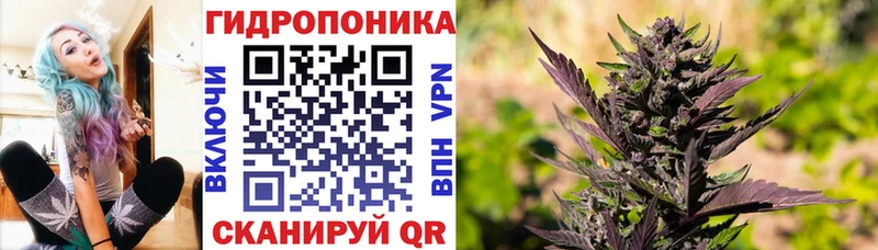 Конопля MAZAR  где продают наркотики  Старый Крым 